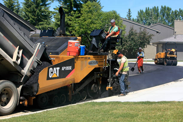 Best Driveway Paver Repair  in Hamtramck, MI